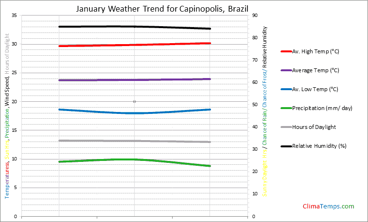 Graph of weather in Capinopolis in January