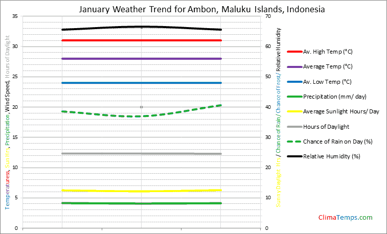 Graph of weather in Ambon, Maluku Islands in January