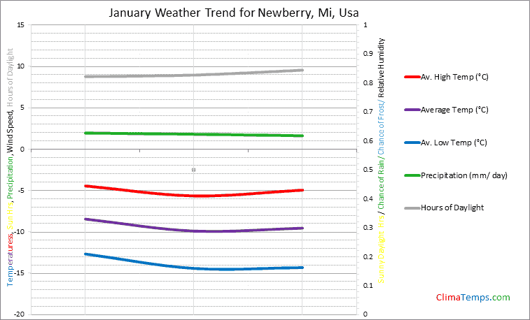 Graph of weather in Newberry, Mi in January